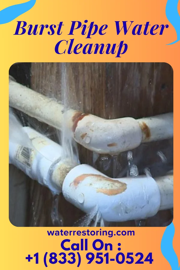 Burst Pipe Water Cleanup in Homer, LA