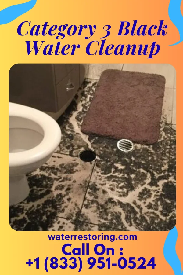 Category 3 Black Water Cleanup in Homer, LA