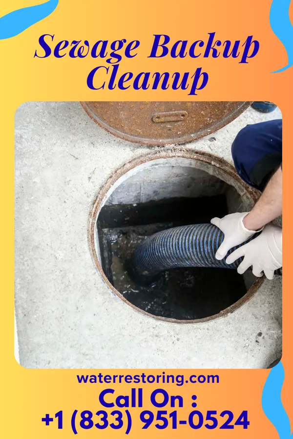 Sewage Backup Cleanup in Homer, LA