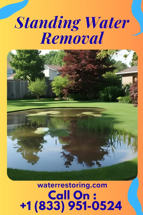 Standing Water Removal in Homer, LA
